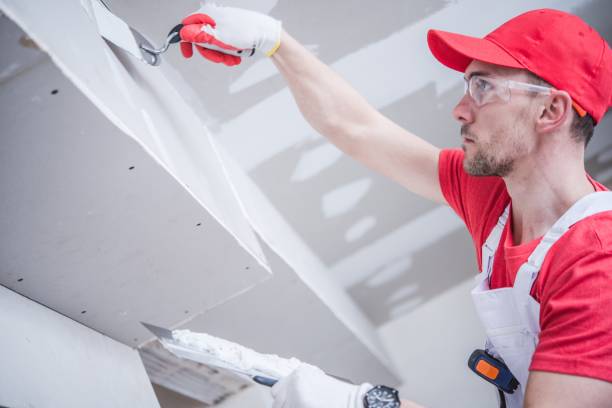 Best Drywall Crack Repair  in Wood Dale, IL